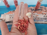 Authentic Croatian Gift, Precious Mediterranean coral, Natural Decorative Piece, Croatia Gift, Home Decoration, Small Bottle Ornament - CroatianJewelryCraft