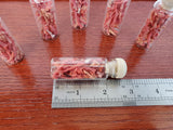 Authentic Croatian Gift, Precious Mediterranean coral, Natural Decorative Piece, Croatia Gift, Home Decoration, Small Bottle Ornament - CroatianJewelryCraft