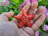 Handmade Croatian Ceramic Magnet, Colorful Ceramic Starfish, Ceramic Sea Star, Authentic Croatian Souvenir Gift, Made In Croatia Gift